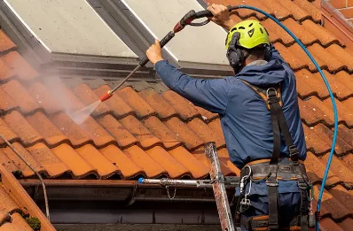 Démoussage et hydrofuge de toiture à Grézieux-le-Fromental
